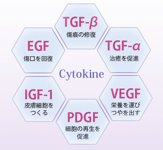 Dr.WANDEL�i�h�N�^�[�����f���j�̔��T�C�g��