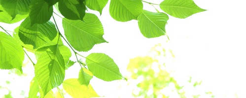 Dr.WANDEL�i�h�N�^�[�����f���j�̔��T�C�g��