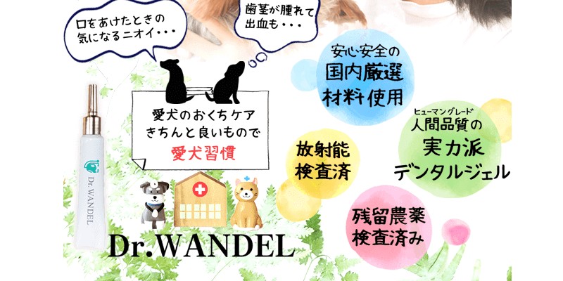 Dr.WANDEL�i�h�N�^�[�����f���j�̔��T�C�g��